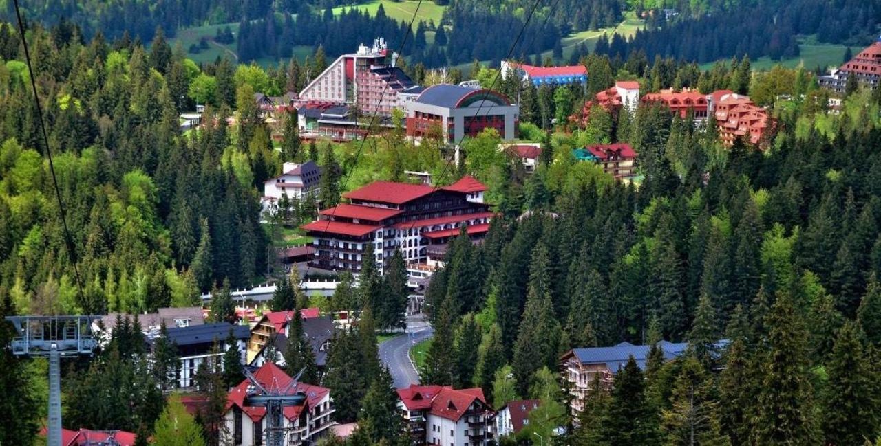 Garsoniera Delia Brasov Apartment Luaran gambar